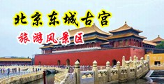 美女%100乳头爆浆中国北京-东城古宫旅游风景区